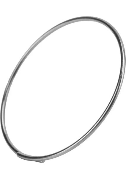 Kanca Tarzı Olmadan 5 Adet Bisiklet Çelik Freehub Kaset Sürücüsü Pawl Yayı Freehub Yay Döngüsü Hub Yayı Dayanak Noktası Için Kancasız F0F1F3F5XLKT (Yurt Dışından)