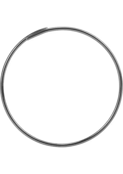 Kanca Tarzı Olmadan 5 Adet Bisiklet Çelik Freehub Kaset Sürücüsü Pawl Yayı Freehub Yay Döngüsü Hub Yayı Dayanak Noktası Için Kancasız F0F1F3F5XLKT (Yurt Dışından)