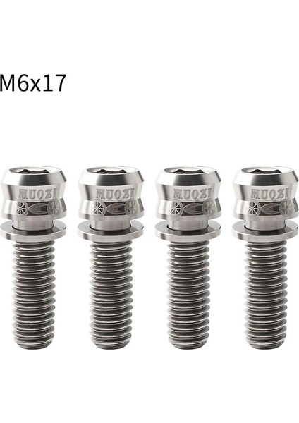 M6-17 Gümüş Stili Muqzı Bisiklet Disk Fren Vidaları M6 * mm Mtb Yol Bisikleti Gidon Kök Vida Titanyum Alaşımlı Mekanik Kaliper Sabitleme Cıvatası (Yurt Dışından)