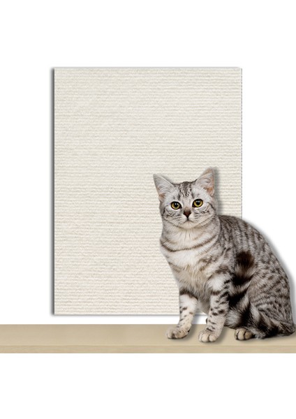 Anti-Kedi Çizik Kanepe Koruyucu Kaplama Kedi Çizik Pedi Kesilebilir Kendinden Yapışkanlı Onarım Kanepe Kedi Çizik Kurulu Duvar Sticker (Yurt Dışından)