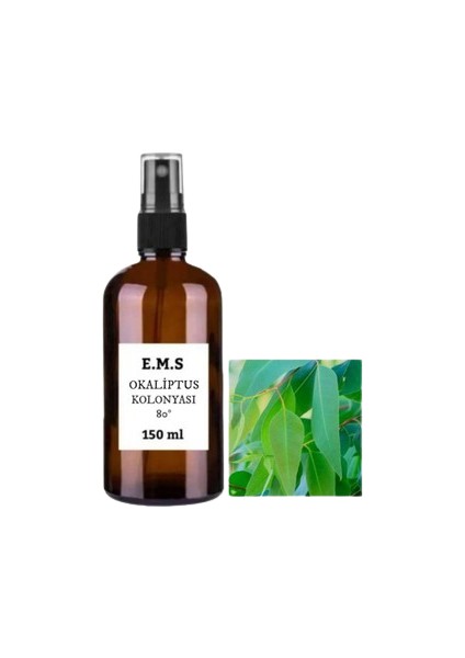 Okaliptus Kolonyası 150 ml