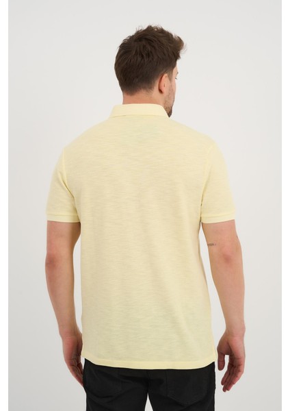 Polo Yaka T-Shirt (066413)