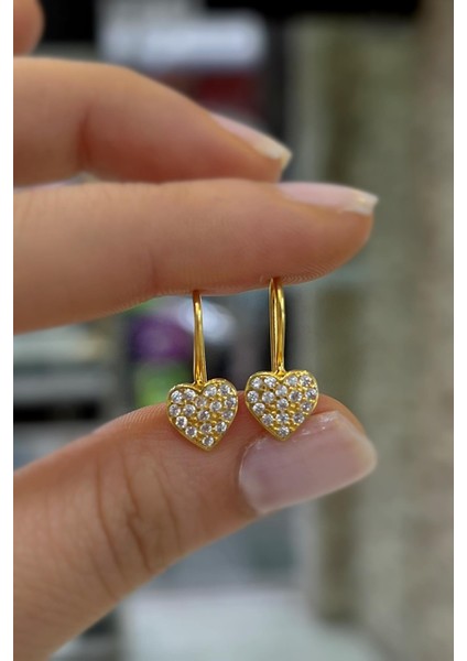 Gümüş Kalpli Çocuk Küpesi IS12S fiyatları