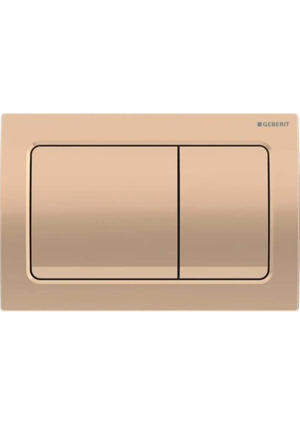 ALPHA30 Kumanda Kapağı Çift Basmalı, Bronz - 115.055.QA.1