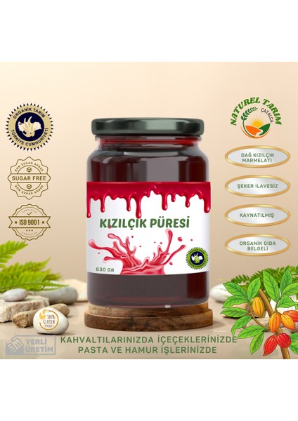 Kızılçık Püresi ( Şeker İlavesiz )