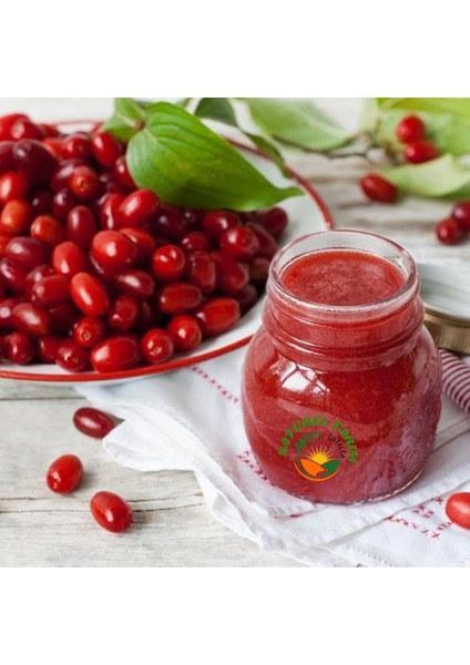 Kızılçık Püresi ( Şeker İlavesiz ) fiyatları
