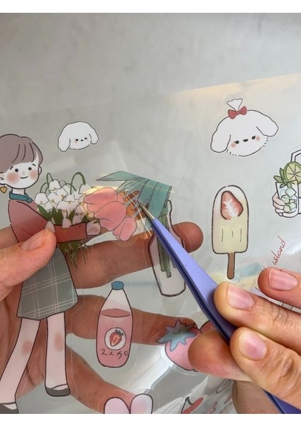 Şeffaf Altı Bölmeli Bir Sayfa Süsleme ve Dosyalama Kırmızı Stickerlı A4 Dosya Klasör