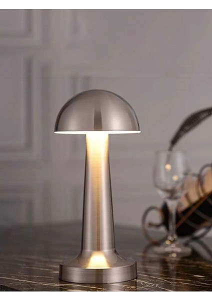 2W Copper Gövde Ledli Dokunmatik Dimli Masa Lambası