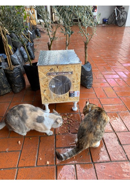 Kedi Evi Kedi Yuvası İç ve Dış Mekan Yağmura ve Soğuğa Dayanıklı 30x33x36 cm fiyatları