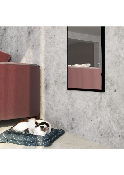 Siyah Dekoratif Boy ve Duvar Aynası 120 x 40 cm Fenomen Ayna fiyatları