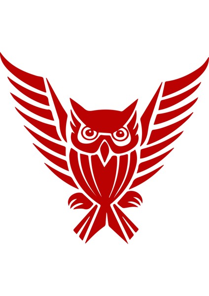 Baykuş Sticker Oto Sticker Baykuş Araba Sticker