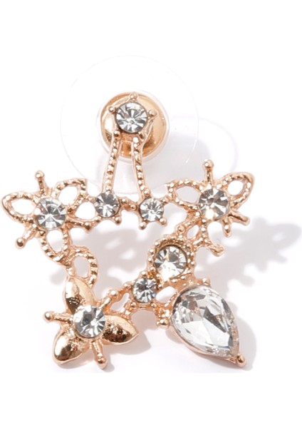 Yıldız Küpe fiyatları