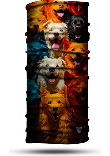 Bandana Dog