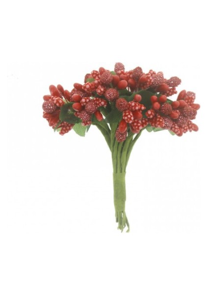 Kırmızı Tomurcuk Cipso (12 Bağ)