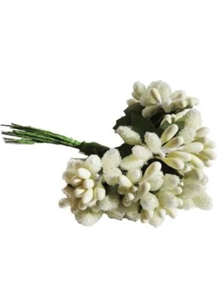 Krem Tomurcuk Cipso (12 Bağ)