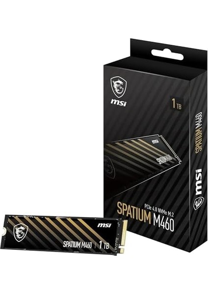 SSD Spatıum M460 Pcıe 4.0 Nvme M.2 1tb R5000 W4500 fiyatları