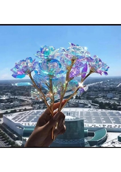 5 Adet Sonsuzluk Gülü Rengarenk Hologramlı Sevgiliye Hediye 24 cm