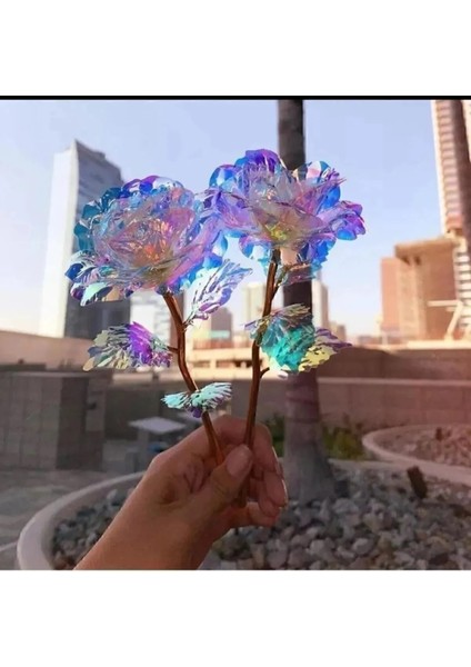 5 Adet Sonsuzluk Gülü Rengarenk Hologramlı Sevgiliye Hediye 24 cm fiyatları