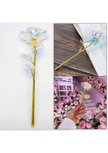 5 Adet Sonsuzluk Gülü Rengarenk Hologramlı Sevgiliye Hediye 24 cm modelleri