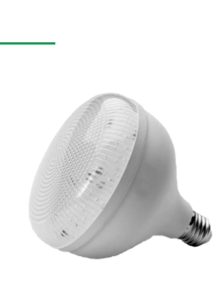30W(200W) Kristal LED Ampul Beyaz