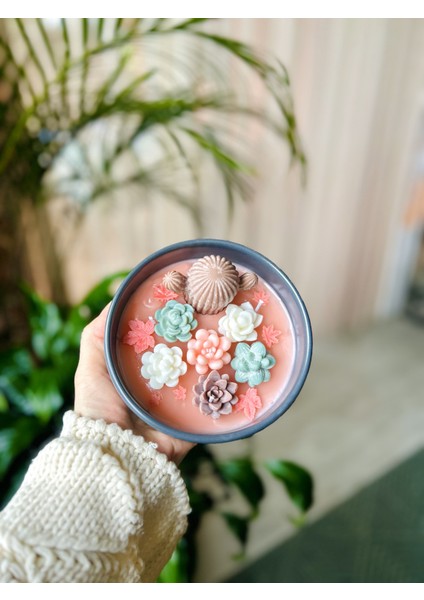 - Kaktüs Sukulent Mum Tabağı - Dekoratif Hediyelik Mum fiyatları