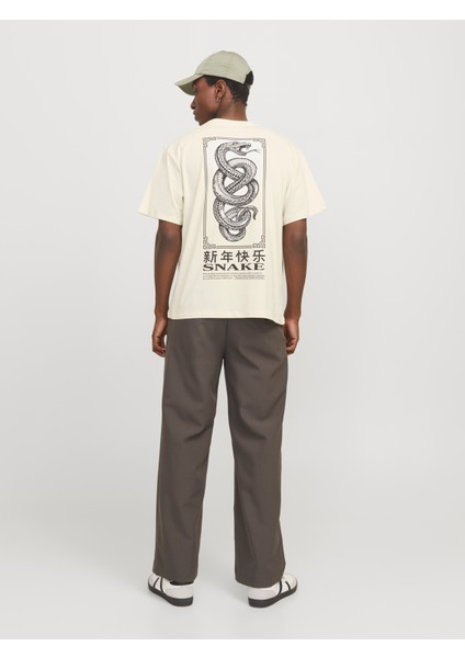 Jorsnake Tee Ss Crew Neck Tg Ln Erkek Bej Tshirt 12275402-06 indirimleri