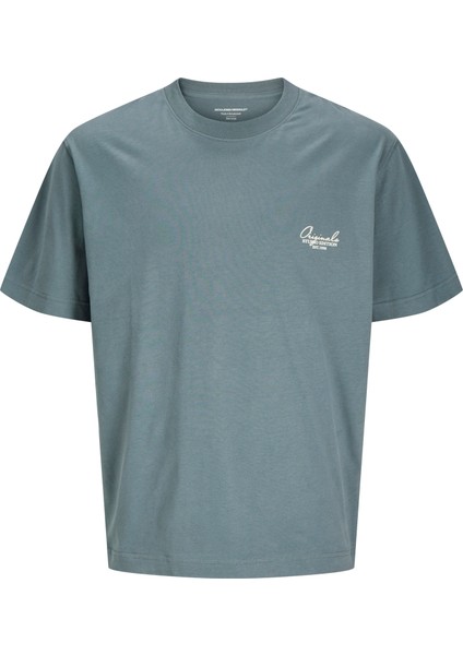 Jorıslıngton Type Graphıc Back Tee Ss Cn Erkek Antrasit Tshirt 12273004-16