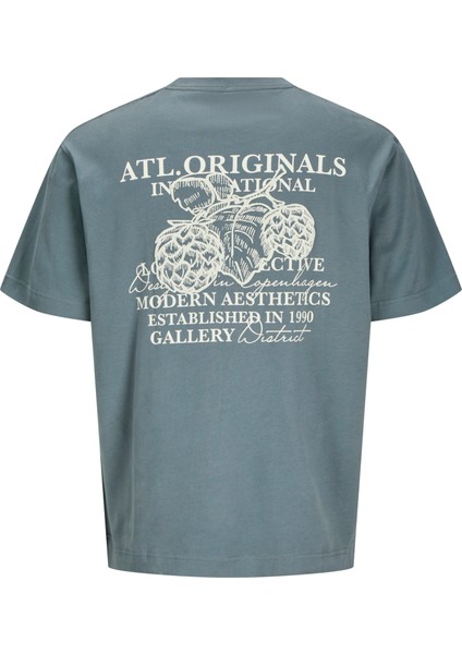 Jorıslıngton Type Graphıc Back Tee Ss Cn Erkek Antrasit Tshirt 12273004-16 fiyatları