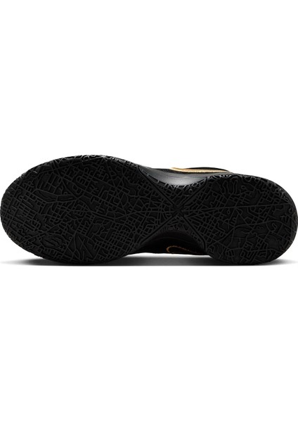 FJ1566-103 Zm Lebron Nxxt Gen Ampd Erkek Basketbol Ayakkabısı
