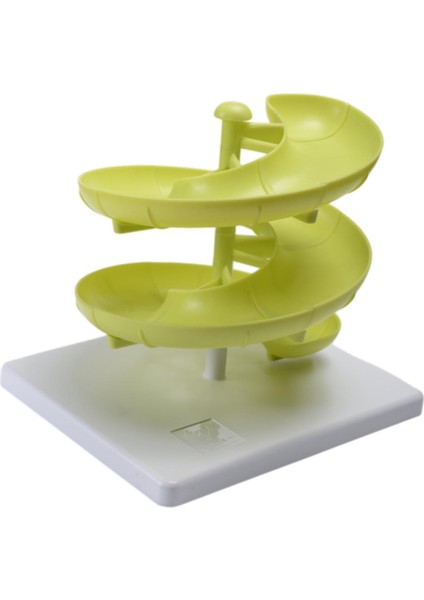 Yumurta Dispenser Modern Yumurta Depolama Konteyneri Sayaç Için (Yurt Dışından)