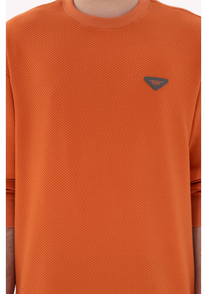 Erkek Tarçın Sweatshirt 50290777-VR191