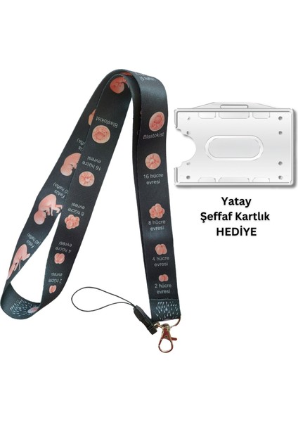 Fetüs Evreleri Kadın Doğum Kart Askısı Yaka Kartı Boyun Askı Ipi Telefon Askısı Yatay Dikey Kart Koruyucu