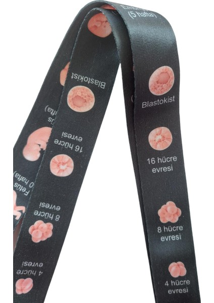 Fetüs Evreleri Kadın Doğum Kart Askısı Yaka Kartı Boyun Askı Ipi Telefon Askısı Yatay Dikey Kart Koruyucu fiyatları