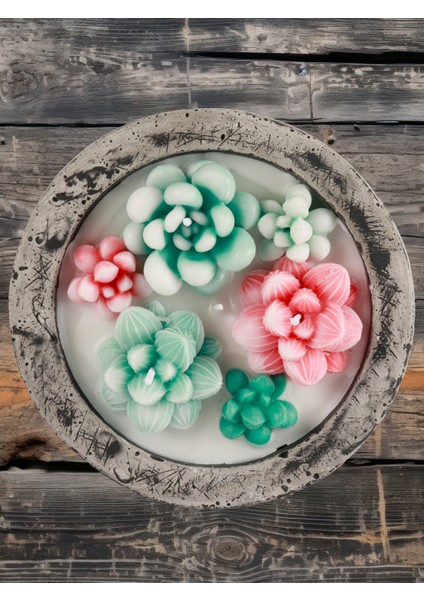 Doğal Soya Wax Kayıp Hazineler Mix Sukulent Dekoratif Mum