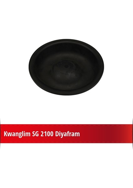 Sg 2100 Diyafram
