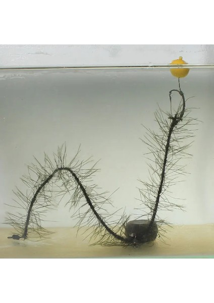 5m Ot Olta Sazan Balıkçılık Gerçekçi Yumuşak Kanca Bağlantı Rig Aracı Balık Oltası Doğal Aracı Aksesuarları 15.9 kg modelleri