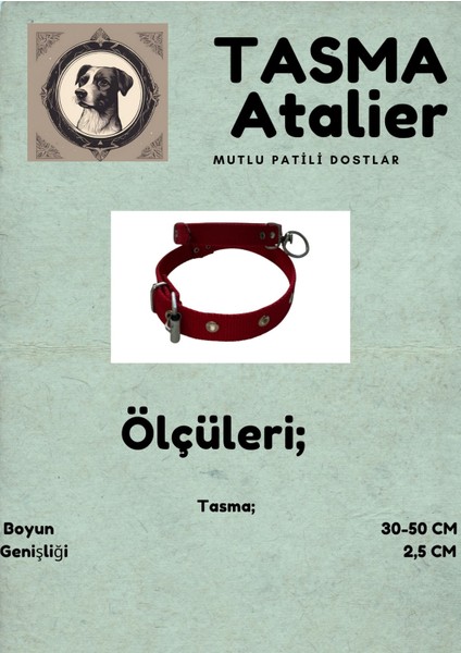 Orta Boy Köpek Tasması