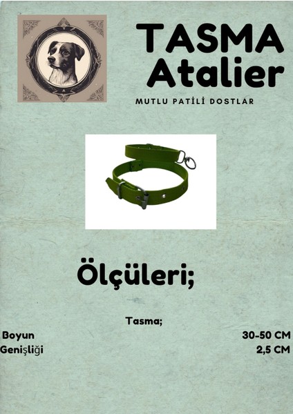 Orta Boy Köpek Tasması fırsatları