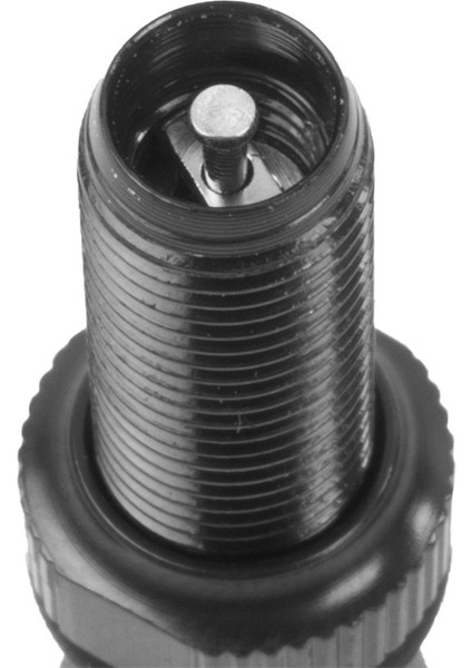 Bej Tarzı Alaşım Saplı Bisiklet Schrader Tüpüsüz Lastik Valfi Mtb Yol Bisikleti Amerikan Tüp Valf Kapağı Aracı (Yurt Dışından) fırsatları