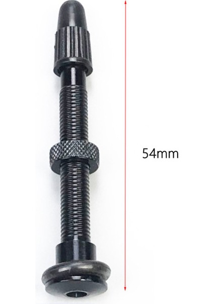 1 Adet 95MM Tarzı Bisiklet Tüpüsüz Valf, Bisiklet Tüpüsüz Hazır Lastik Lastik Karbon Jant Alüminyum Alaşımlı Notube Valfi (Yurt Dışından) fırsatları