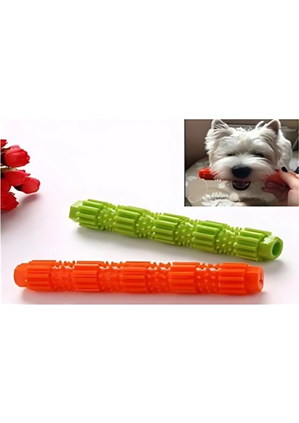 Çiğneme Çubuğu Köpek Oyuncağı - Dayanıklı ve Güvenli Diş Kaşıma Oyuncağı