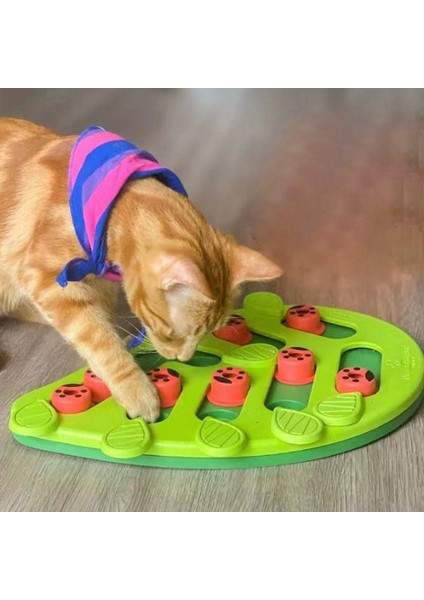 Evcil Hayvan Kase Oyunları Kedi Oyuncaklar Evcil Hayvan Eğitici Oyuncaklar (Yurt Dışından) fiyatları
