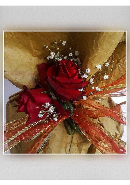 Saksıda Ponsetya(Atatürk Çiçeği) fiyatları