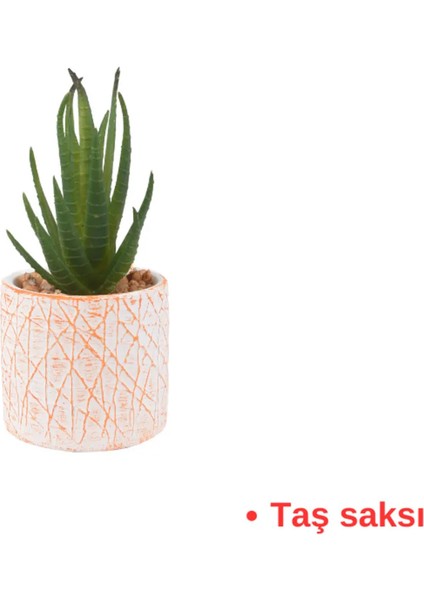 Dekoratif Aloe Vera Yapay Çiçek ( Ürün ) modelleri