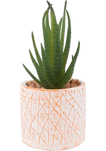 Dekoratif Aloe Vera Yapay Çiçek ( Ürün ) indirimleri