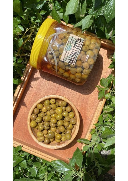 Halhali Yeşil Zeytin (Net Tane 550 Gr)