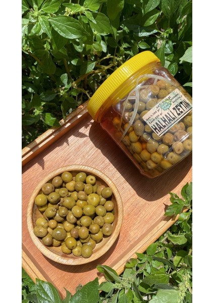 Halhali Yeşil Zeytin (Net Tane 550 Gr) fiyatları