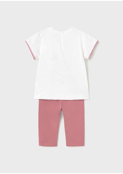 Kız Bebek Tayt Takım fiyatları