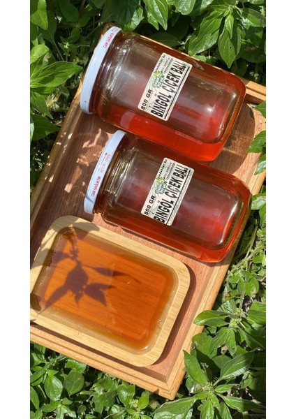 Bingöl Çiçek Balı 800 gr