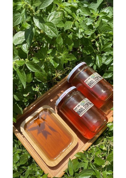 Bingöl Çiçek Balı 800 gr fiyatları